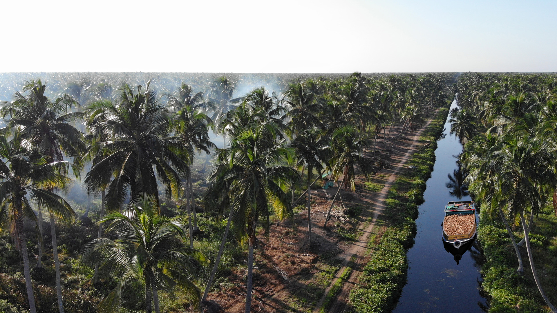 Delivering Indonesia's Coconut<br/>to the World